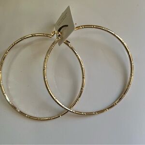 Elegant Gold Hoop Earrings